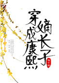 穿成康熙心尖宠小说